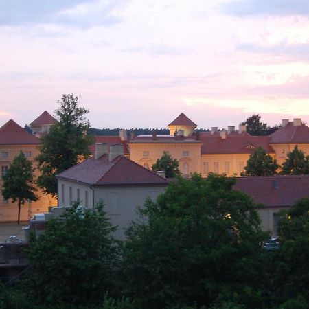 Schloss-Und Seeblick Apartment 赖因斯贝格 外观 照片