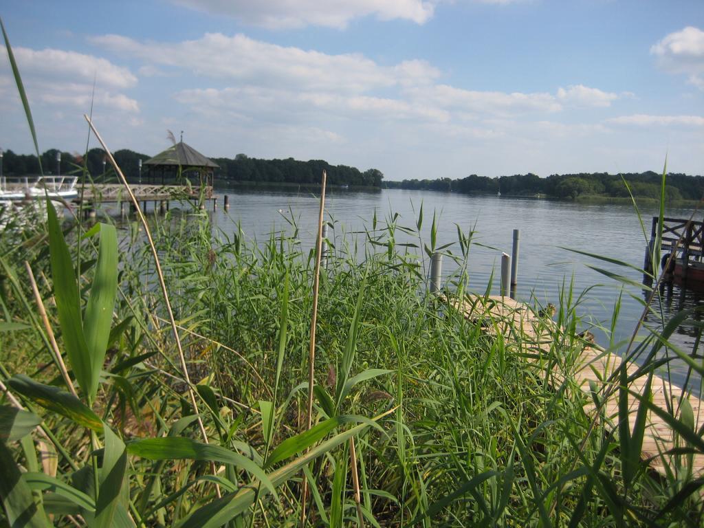 Schloss-Und Seeblick Apartment 赖因斯贝格 外观 照片