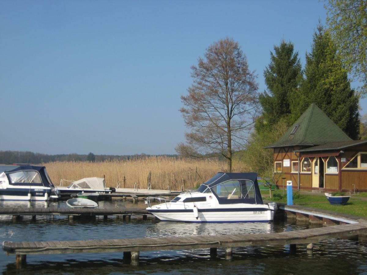 Schloss-Und Seeblick Apartment 赖因斯贝格 外观 照片