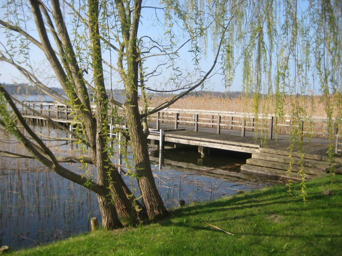 Schloss-Und Seeblick Apartment 赖因斯贝格 外观 照片